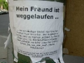 0804-freund.jpg