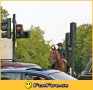 Ampel.jpg