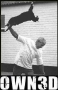owned-cat_jpg.jpg